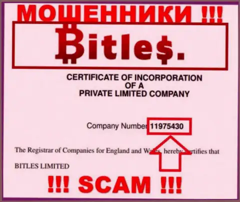 Номер регистрации интернет-мошенников Bitles, с которыми не советуем взаимодействовать - 11975430
