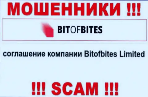 Юр. лицом, владеющим ворами БитОфБитес, является Bitofbites Limited