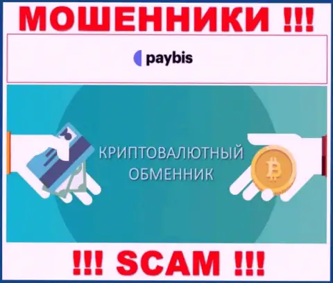Крипто обменник - это тип деятельности неправомерно действующей организации PayBis