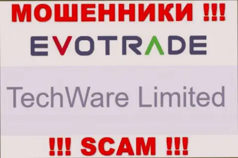 Юридическим лицом EvoTrade является - TechWare Limited