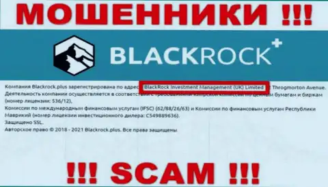 Владельцами BlackRock Plus является компания - БлэкРок Инвестмент Менеджмент (УК) Лтд