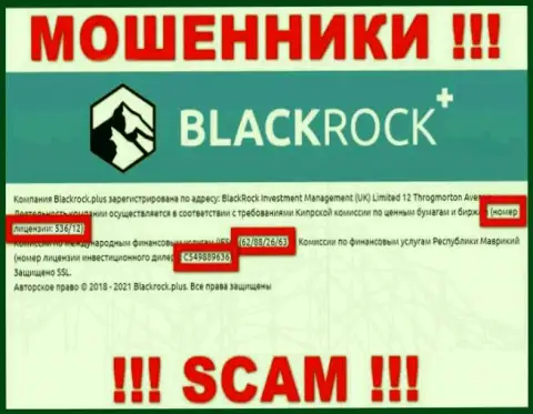 Блэк Рок Плюс прячут свою мошенническую сущность, представляя у себя на сайте лицензионный документ