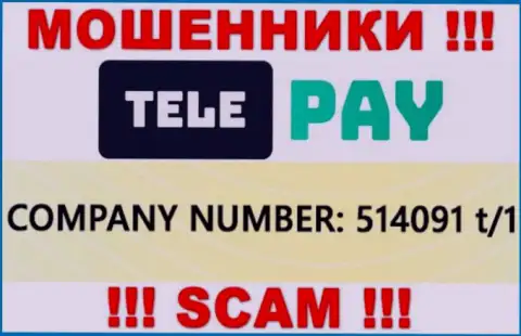 Регистрационный номер ТелеПай, который представлен обманщиками у них на сайте: 514091 t/1