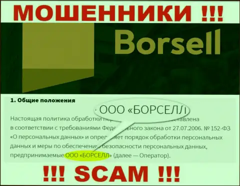 Шулера Borsell Ru принадлежат юридическому лицу - ООО БОРСЕЛЛ