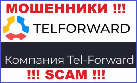 Юридическое лицо Tel Forward - это Tel-Forward, именно такую информацию опубликовали мошенники у себя на интернет-ресурсе