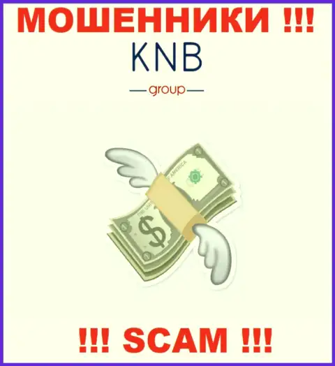 Рассчитываете увидеть доход, сотрудничая с ДЦ KNB-Group Net ? Данные интернет-мошенники не дадут