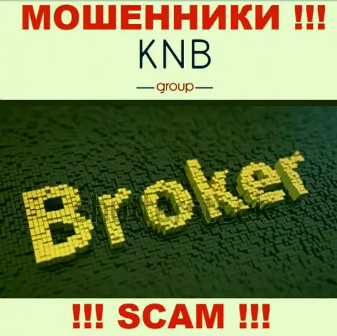 Сфера деятельности жульнической конторы KNB-Group Net - это Брокер