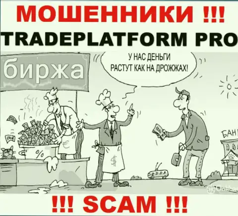 Заработок с брокерской организацией Trade Platform Pro вы не получите - не торопитесь вводить дополнительные средства