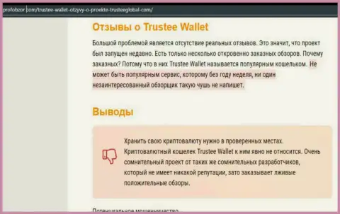 Trustee Wallet - МОШЕННИКИ !!! Присваивают средства доверчивых людей (обзор)