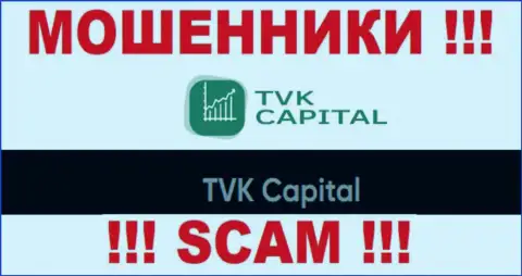 TVK Capital - это юридическое лицо ворюг ТВК Капитал