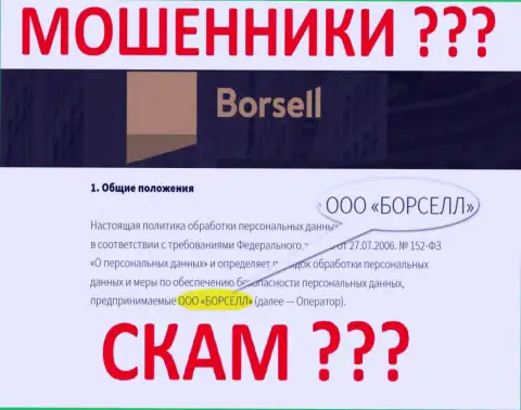 Borsell LLC - это организация, владеющая internet мошенниками Borsell Ru