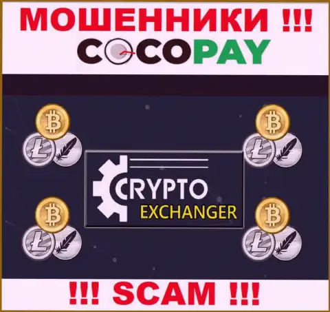 CocoPay - это бессовестные internet-мошенники, вид деятельности которых - Обменник