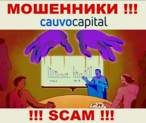 Не нужно соглашаться взаимодействовать с internet-мошенниками Cauvo Capital, прикарманивают денежные вложения