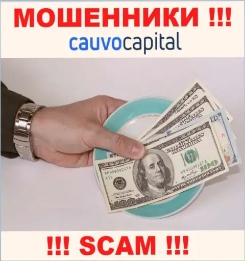 В Cauvo Capital выманивают с валютных трейдеров средства на уплату налоговых сборов - это ЖУЛИКИ