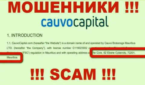 Нереально забрать назад вклады у конторы КаувоКапитал Ком - они спрятались в оффшоре по адресу The Core, 62 Ebene Cybercity, 72201, Mauritius