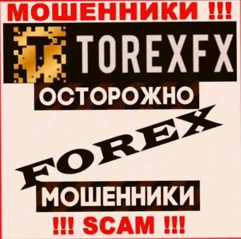 Сфера деятельности TorexFX Com: Forex - хороший заработок для интернет разводил